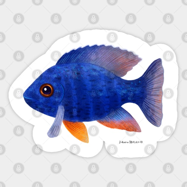 African Cichlid Fish Sticker by julianamotzko